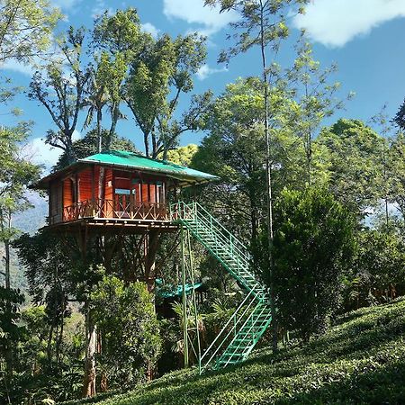 Dream Catcher Plantation Resort Munnar Room photo