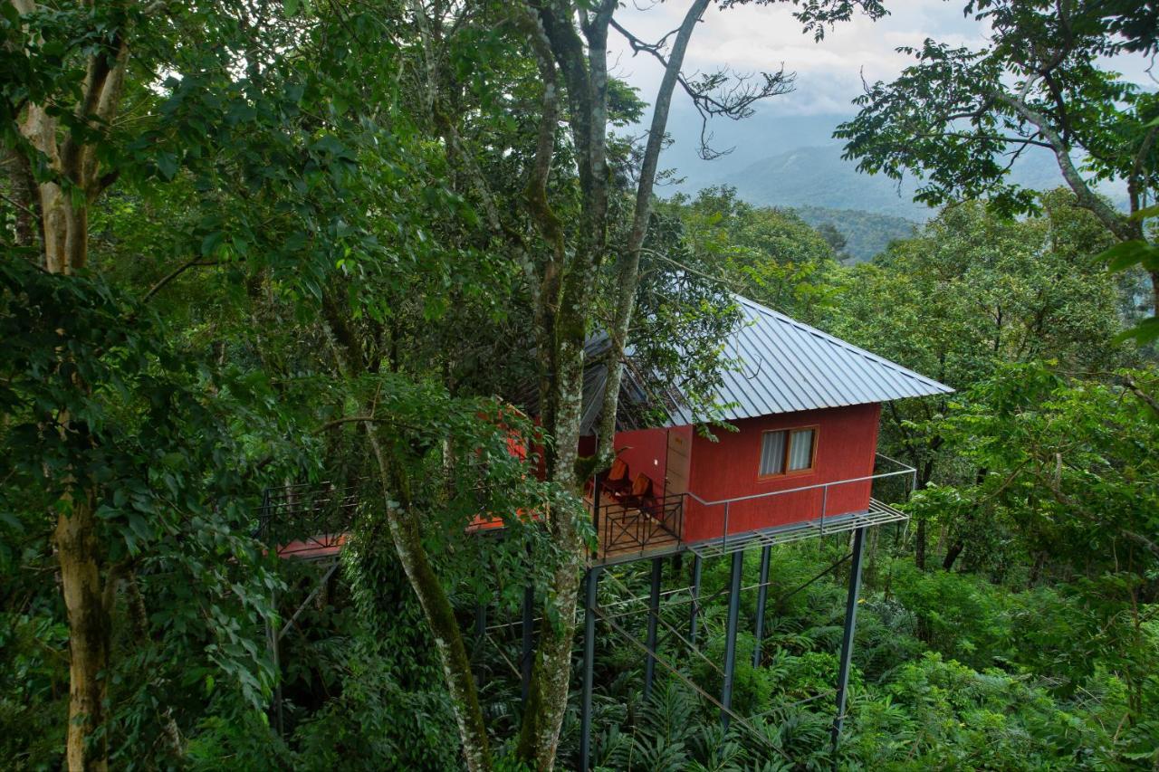 Dream Catcher Plantation Resort Munnar Exterior photo