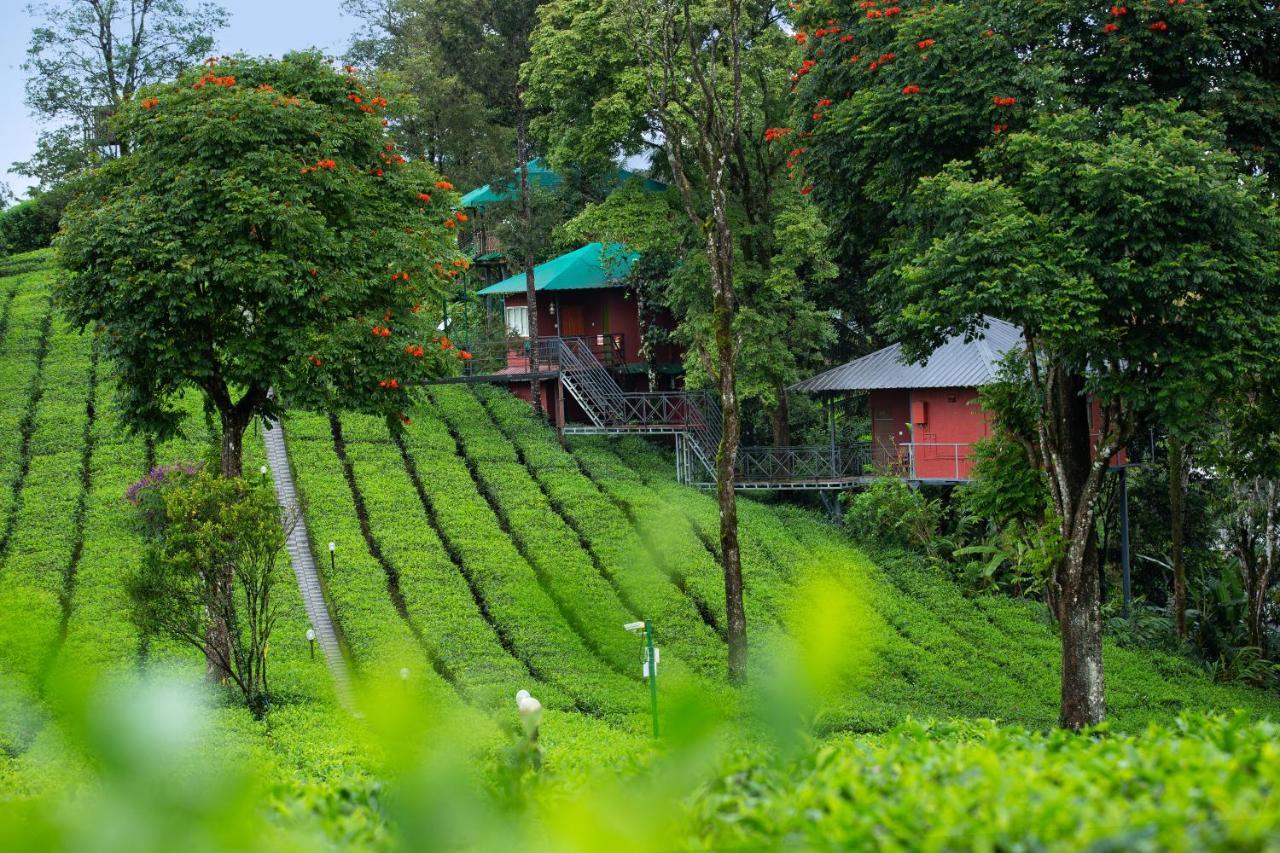Dream Catcher Plantation Resort Munnar Exterior photo