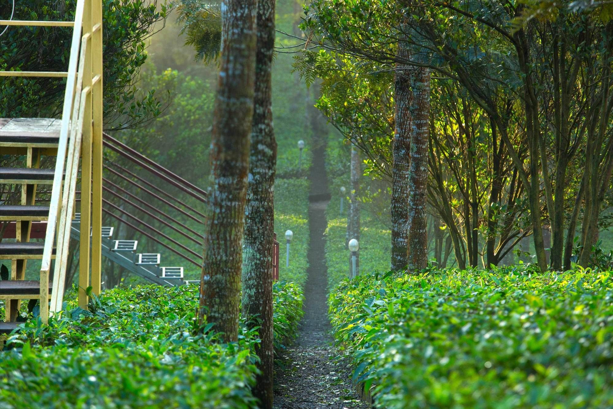 Dream Catcher Plantation Resort Munnar Exterior photo